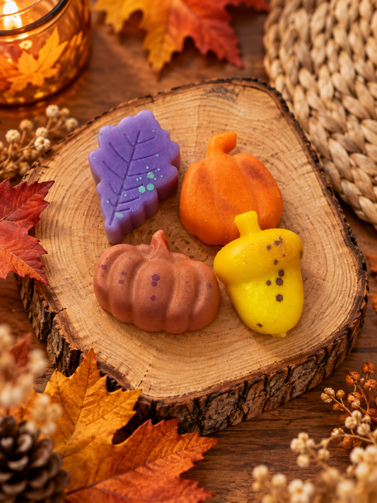 Autumn Melties 🍂 Wax Melts