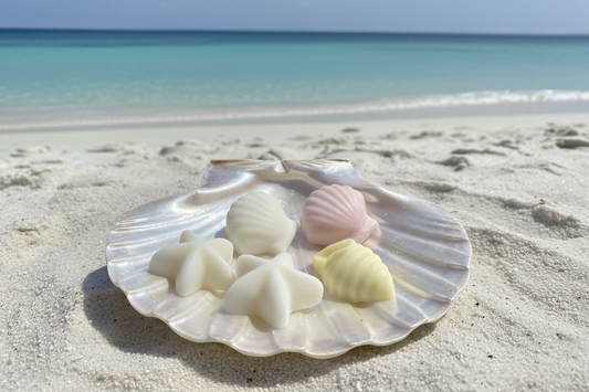 Sea Shell Wax Melts 🐚 | Summer Collection